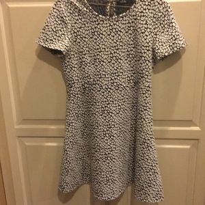 Apt. 9 Dress